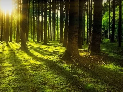 Relaxing Piano Improvisation 56