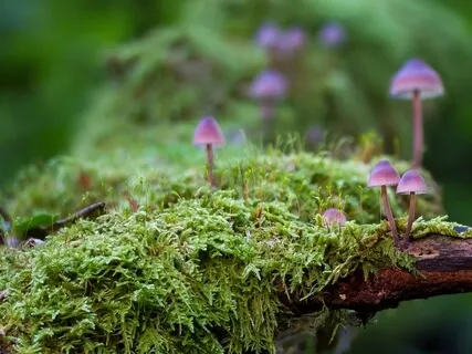 Relaxing Piano Improvisation 66