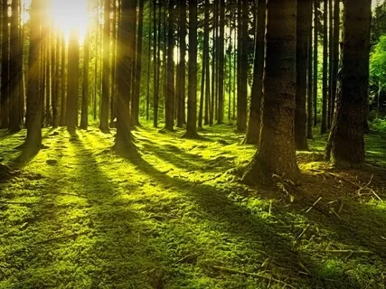 Relaxing Piano Improvisation 71