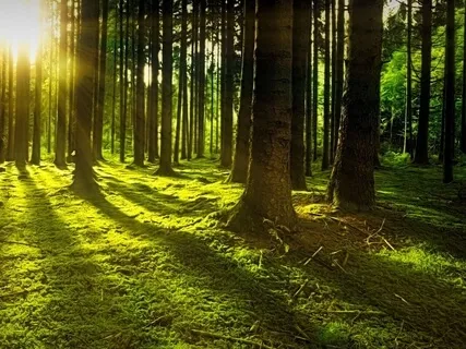 Relaxing Piano Improvisation 81