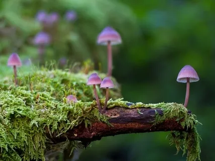 Relaxing Piano Improvisation 88