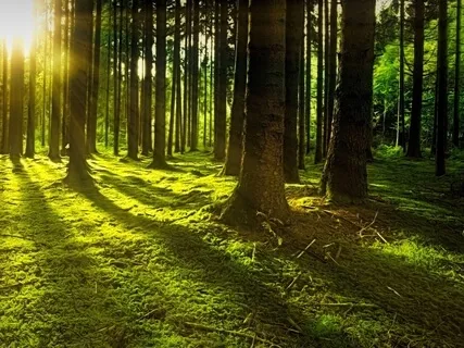 Relaxing Piano Improvisation 96