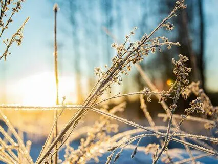 Tendre Espoir - Relaxing Piano Improvisation