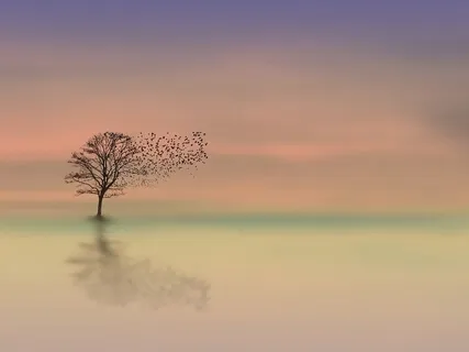 Relaxing Piano Music