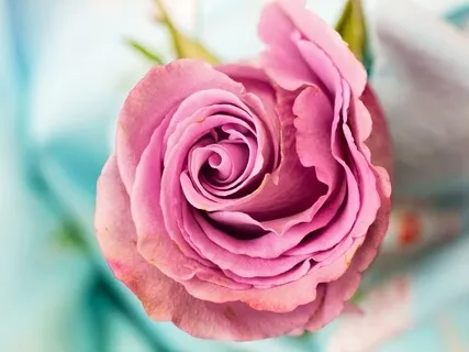 Relaxing Piano Music - Benevolence