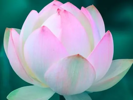Relaxing Piano Music For Inner Peace