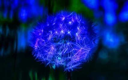 Relaxing Piano Music For Sleeping