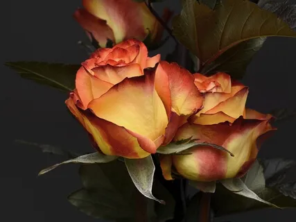 Relaxing Piano Music - Gazing