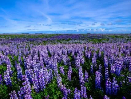 Relaxing Piano Music | Inner Peace & Joy