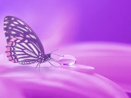 Relaxing Piano Music - One World