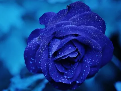 Relaxing Piano Music - Quietness
