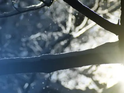 Relaxing Piano Music to Cleanse Your Mind and Emotions