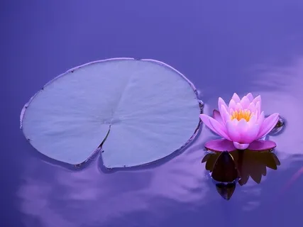 Relaxing Piano Music - Waves