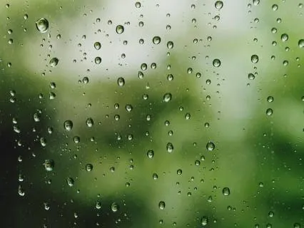 Relaxing Piano & Soft Rain