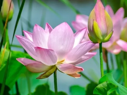 Relaxing Present Moment Mindfulness Exercise