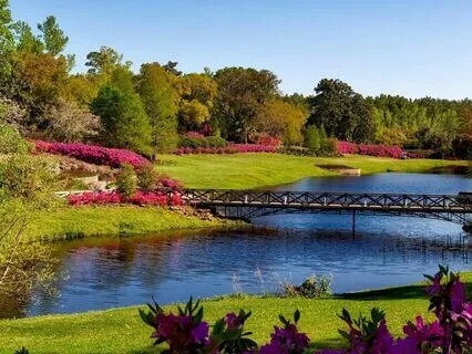 Relaxing Rain And Birds Sounds: Peaceful Nature Ambience