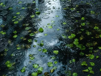 Relaxing Rain For Sleep