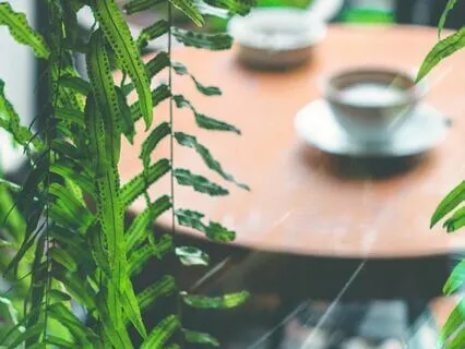 Relaxing Rain Hitting Coffeeshop Windows Ambient