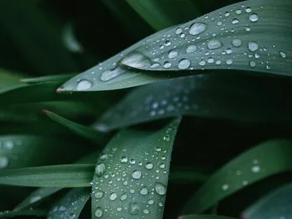 Relaxing Rain Meditation