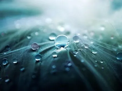Relaxing Rain Music: Nature's Tranquil Symphony