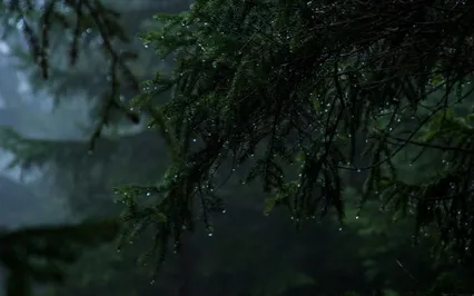 Relaxing Rain Sounds Preparing You For Sleep