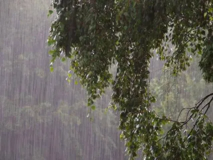 Relaxing Rain Sounds