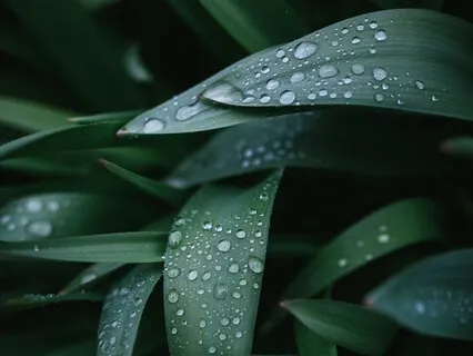 Relaxing Rain Sounds