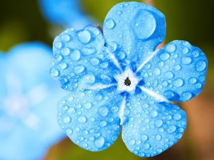 Relaxing Rain With Wind Chimes | Recorded In Highest Audio Quality