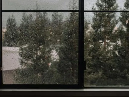 Relaxing Raindrops - Harp & Rainscape