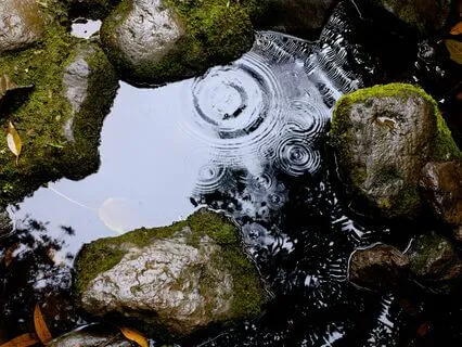 Relaxing Rainfall With Layered Brown Noise