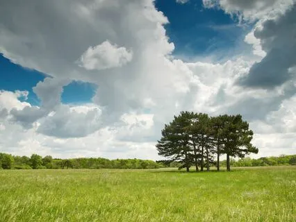 Relaxing Rhythms: Find Your Peace