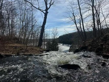 Relaxing River Flow Inside A Forest