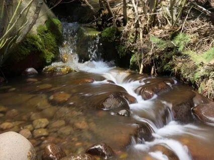 Relaxing River Water Sound Meditation