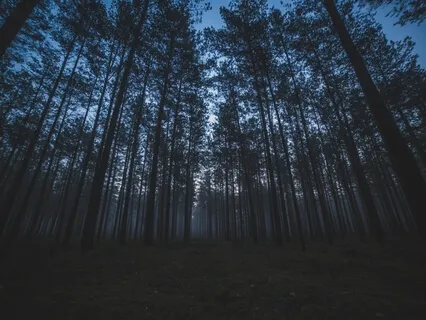 Relaxing Sleep For Your Perfect Night 