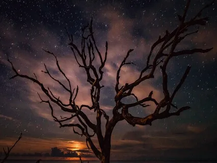 Relaxing Sleep Meditation