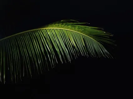 Relaxing, Sleep Music