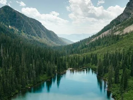 Relaxing Sleep Music For Deep Sleeping And Stress Relief