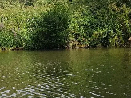 Relaxing Solo Piano Piece 'Flowing River'