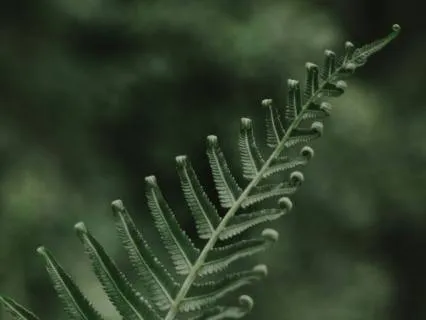 Relaxing Somatic Stretch & Binaural Music For Deep Sleep