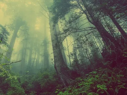 Relaxing Sound Bath Meditation For Easing Stress & Anxiety