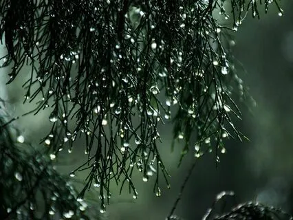 Relaxing Sound Of Rain And Distant Thunder For Good Sleep