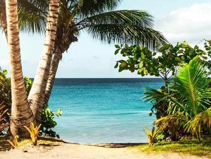 Relaxing Sound Of Waves Crashing On Sandy Beach