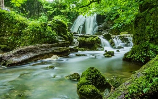 Relaxing Sounds Of A Forest Stream, Birds Singing, Rain & Distant Thunder