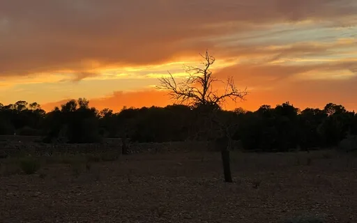 Relaxing Sounds - Sleepy Brown Noise