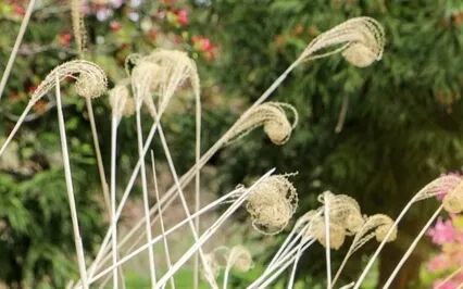 Relaxing Soundscape - Ambient Music For Stress