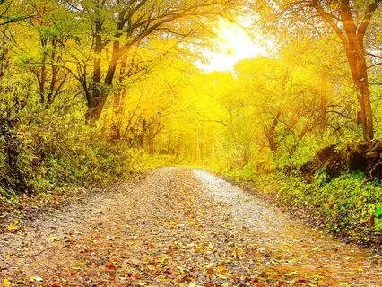 Relaxing Soundscape for Intentional Creation Manifesting