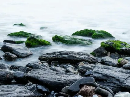 Relaxing Strums: Tranquil Acoustic Guitar