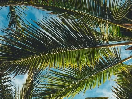 Relaxing The Body & Silencing The Mind