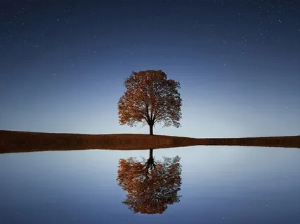 Relaxing The Eyes For A Deep Sleep