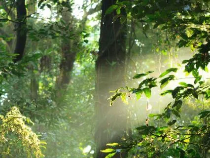 Relaxing The Sacral Chakra